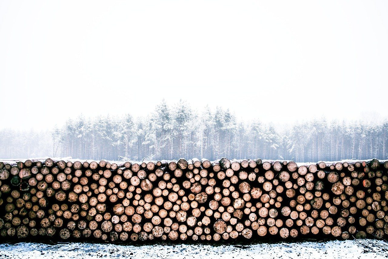 lumber, winter, wood